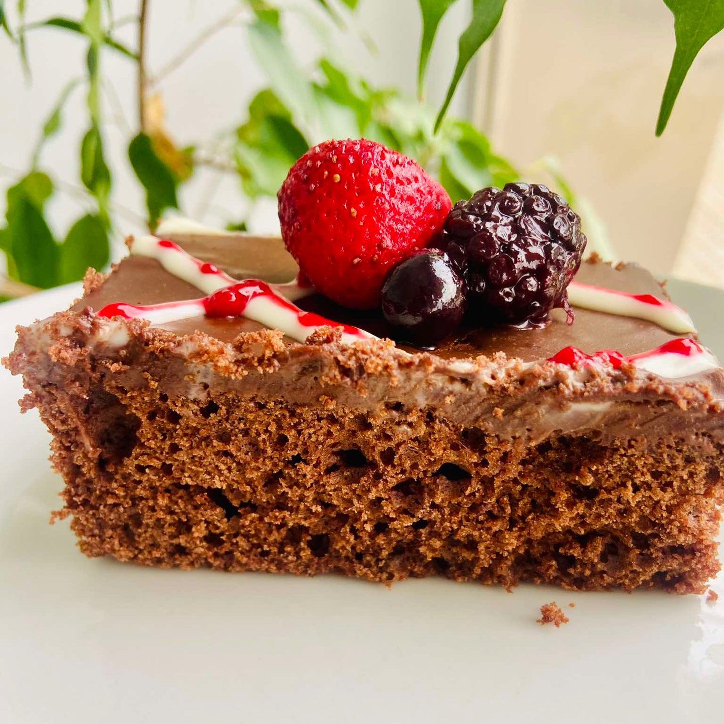 Guinness Chocolate Cake with Berry Drizzle