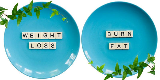 Protein, Carbs, and Fats: Finding the perfect balance in your diet