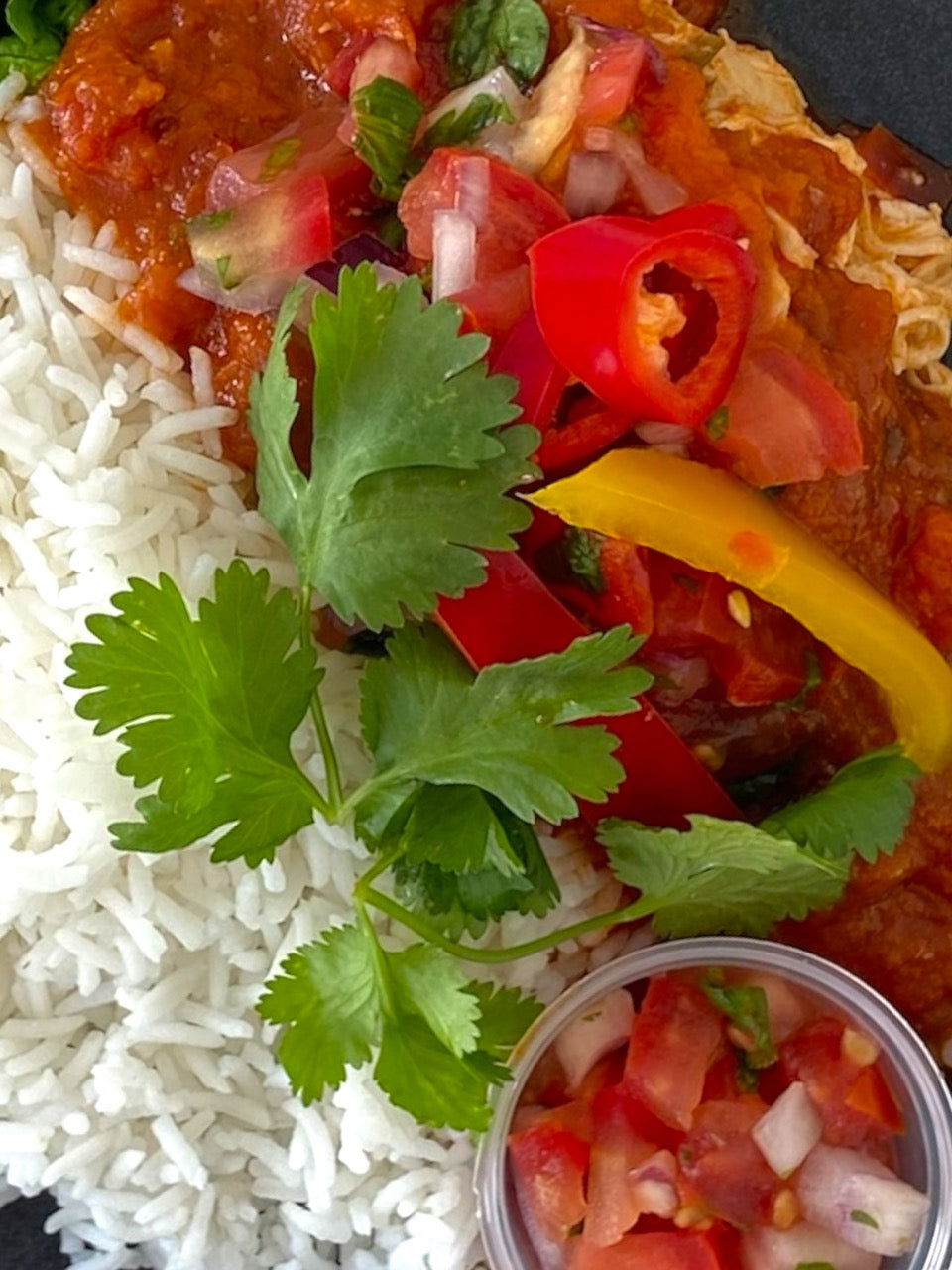 Chicken Tinga with Rice - Dindins